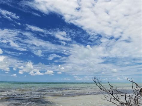 Blackadore Caye, Belize: Restoration and Development, I Think I Finally Get It | San Pedro Scoop