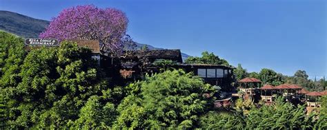 Kula Lodge - Restaurant | Maui lodging, Maui restaurants, Maui activities