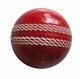 Vegan India!: Non Leather Cricket Balls