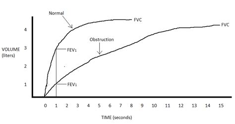 Top 5 Spirometry Tips for COPD Diagnosis and Management | Respiratory ...