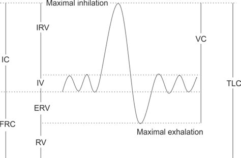 Lung Volume and Capacity Made Easy: Chart & Diagram