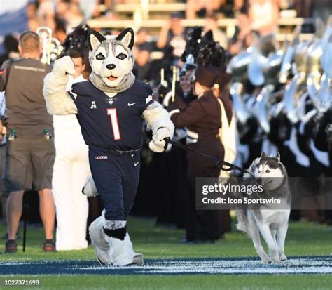 Uconn Mascot Jonathan Photos and Premium High Res Pictures - Getty Images