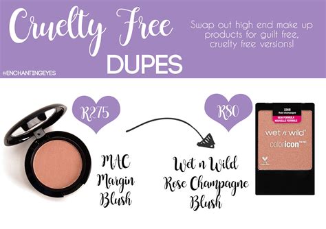Cruelty Free Dupe Mac Margin Blush vs Wet n' Wild Rose Champagne Blush Makeup To Buy, Makeup ...