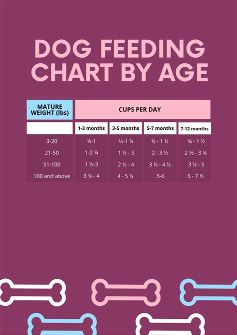 Dog Age Vaccination Chart in PDF - Download | Template.net