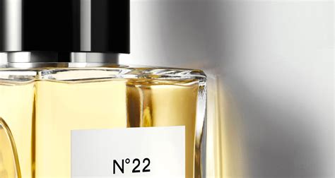 PDD - Perfume do Dia: Chanel No 22 EDP e Cuir de Russie EDP - Fragrance Review