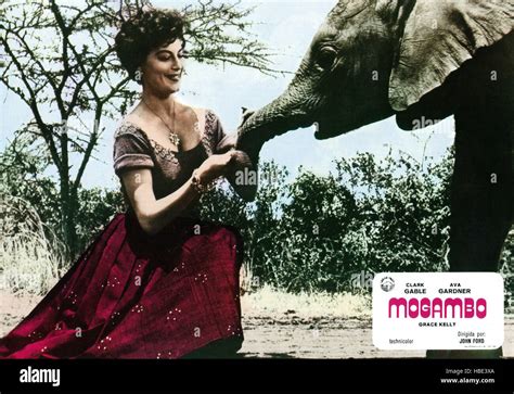 MOGAMBO, Ava Gardner, 1953 Stock Photo - Alamy