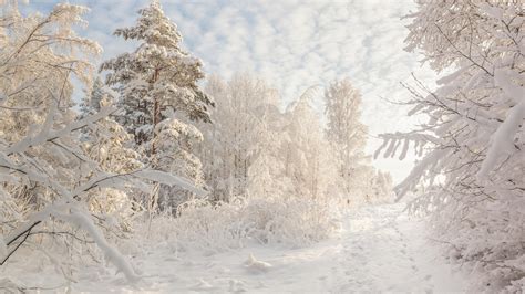Beautiful snowy Russian winter (HD wallpapers) - Page 2 of 3 - VolGanga
