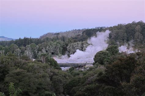 Rotorua Geysers