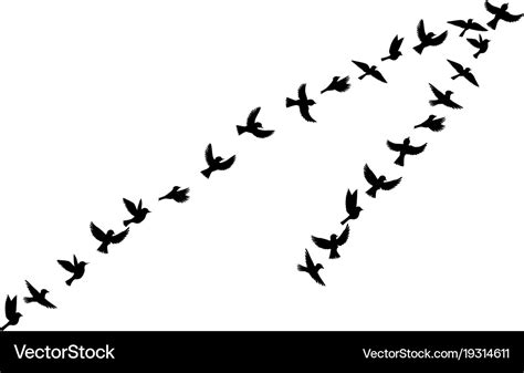 Flying birds silhouettes Royalty Free Vector Image