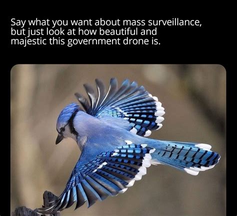 The best Surveillance memes :) Memedroid