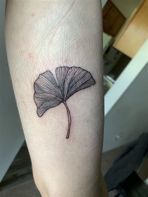 Ginkgo Leaf by Shelley of Lark Tattoo, Albany NY : r/tattoos