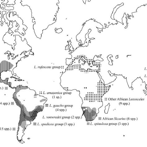 Native geographic distribution of Loxosceles and Sicarius. Defined ...