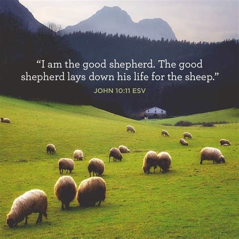 I Am the Good Shepherd