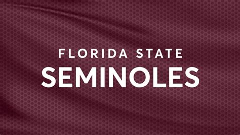 Seminoles Wallpapers - 4k, HD Seminoles Backgrounds on WallpaperBat