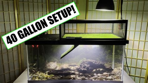 40 Gallon Turtle Tank Stand | Bruin Blog