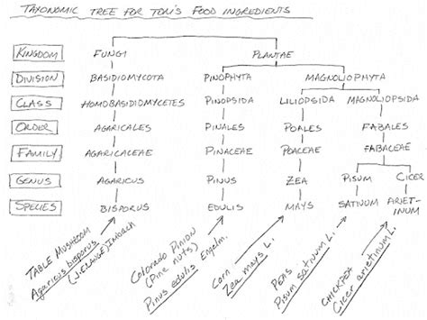 2.1 Plant Taxonomy – The Science of Plants