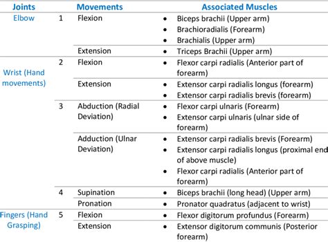 Types Of Joints Of Upper Limb Ligaments Movements Of The Shoulder - The Upper Extremity ...