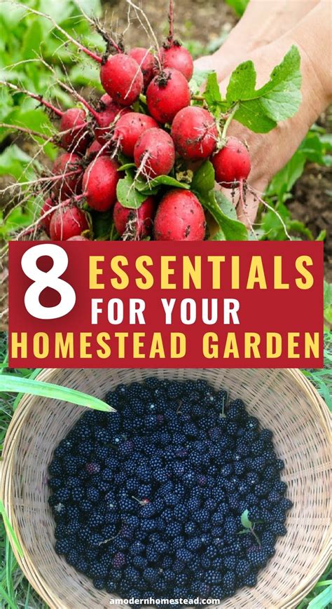 8 Essentials for Your Homestead Garden