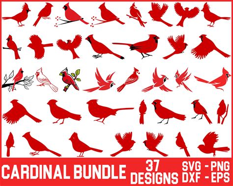 Cardinal SVG Bundle , Cardinal Bird Svg, Memorial Svg, Cardinal ...