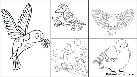 Free Birds Coloring Pages