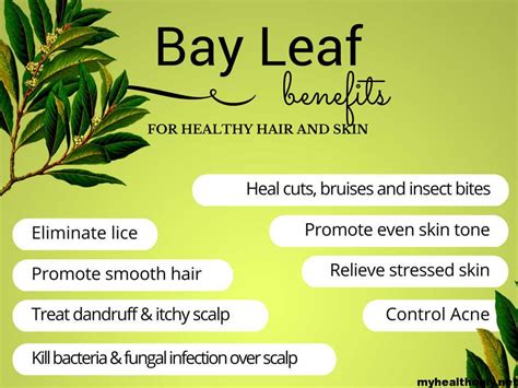12 Awesome Benefits of Bay Leaves, You must to know - My Health Only