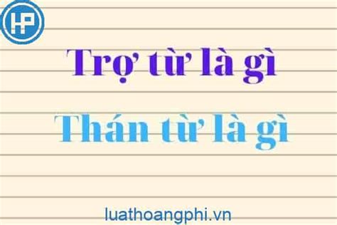 Trợ từ là gì? Thán từ là gì?