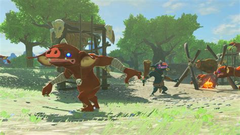 fuzzyLogic Gamer: Breath of the Wild Review, Another Perspective