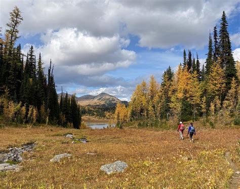 The 12 Best Canmore Hikes | Routinely Nomadic