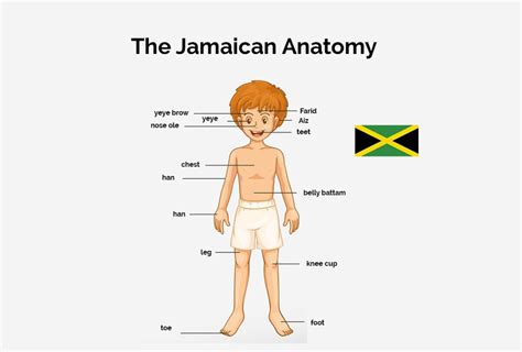 Describing Body Parts in Jamaican Patois | Jamaican Patwah