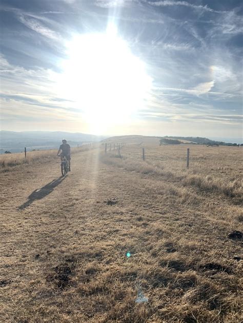 cycling_dorset