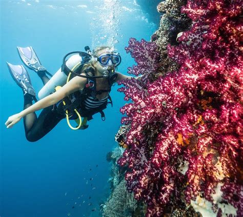 Scuba Diving in Alor, Indonesia