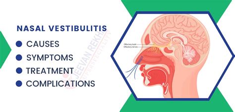 Nasal Vestibulitis: Causes, Symptoms, Complications, and Treatment