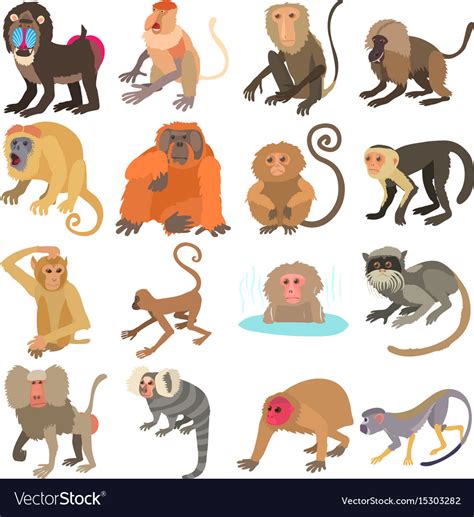 Monkeys types icons set cartoon style Royalty Free Vector