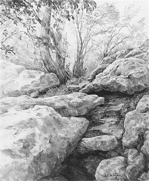 Nature Pencil Drawing Images