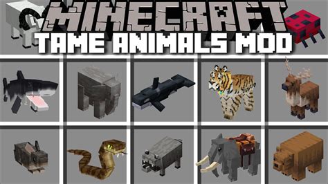 Minecraft TAME AND BREED BETTER ANIMALS MOD / SPAWN IN VILLAGE MORE ...