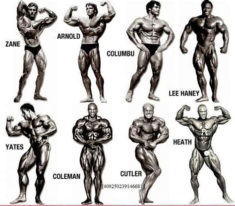 Who’s your favorite Mr Olympia? | Bodybuilding workouts, Bodybuilding, Mr olympia