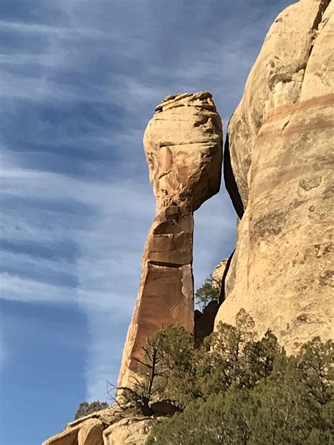 Trump Orders Largest National Monument Reduction In U.S. History | Hawaii Public Radio