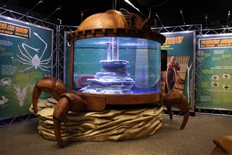 SEA LIFE Kansas City Aquarium Debuts Claws Exhibit!