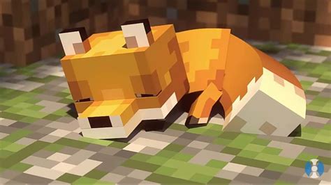 Các sinh vật Minecraft đáng yêu nhất cutest minecraft animals để nuôi trong game