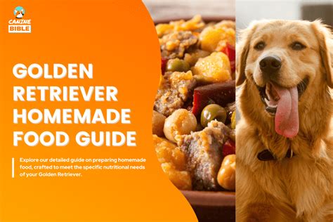 Best Golden Retriever Homemade Dog Food Recipes: Adult & Puppy - Canine ...