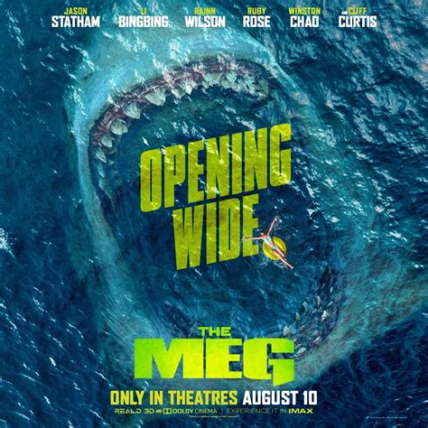 the movie poster for opening wide, with an image of a shark in the ocean