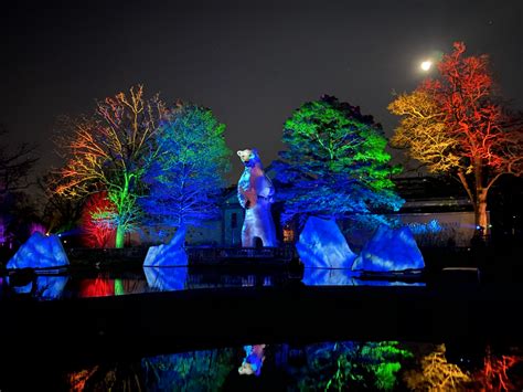 A New Winter Light Experience at the Philadelphia Zoo - Temple Update