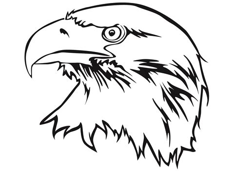 Eagle Head Coloring Pages