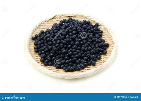 Black soybean stock photo. Image of grain, health, soja - 24976156