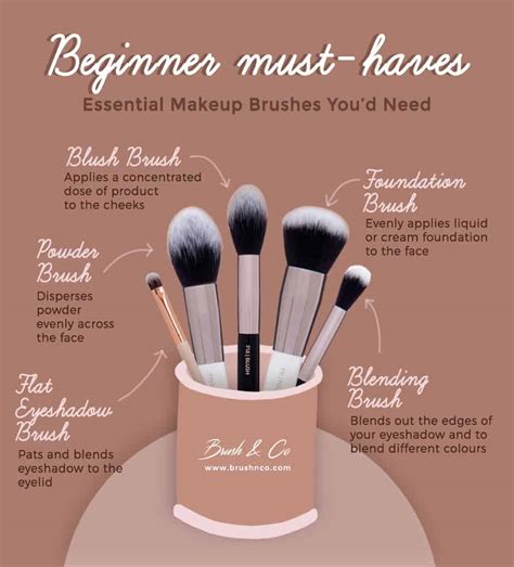 Basic Brushes For Makeup Beginners | Saubhaya Makeup