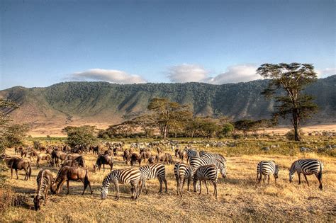 Cratere del Ngorongoro, Tanzania: guida ai luoghi da visitare - Lonely Planet