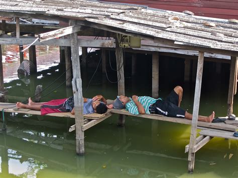 Expat Teacher in Thailand: Thailand Village Life