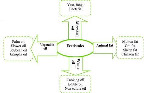 Different feedstocks for biodiesel production. | Download Scientific Diagram