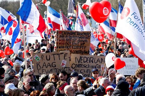 Farmers' Protest Party Set To Shake Up Dutch Political Landscape | IBTimes