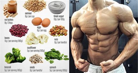 4 Cheap Protein Foods for Muscle Growth - Bodydulding